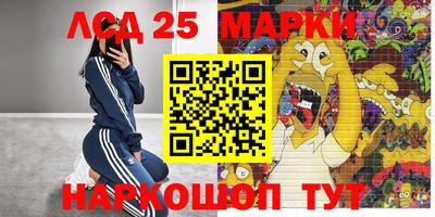 крисы Ставрополь