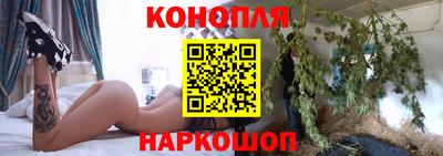 крисы Ставрополь