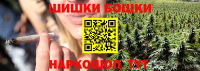 крисы Ставрополь
