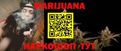 крисы Ставрополь